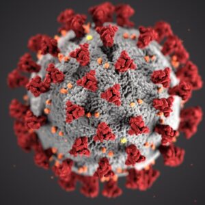 Denne illustration af Coronavisrusset er oprettet ved Centers for Disease Control and Prevention (CDC).  Sygdommen forårsaget af denne virus er blevet navngivet coronavirus sygdom 2019 (COVID-19). Foto: Unsplash