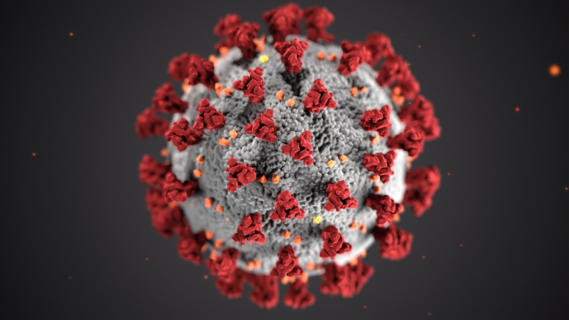 Denne illustration af Coronavisrusset er oprettet ved Centers for Disease Control and Prevention (CDC).  Sygdommen forårsaget af denne virus er blevet navngivet coronavirus sygdom 2019 (COVID-19). Foto: Unsplash